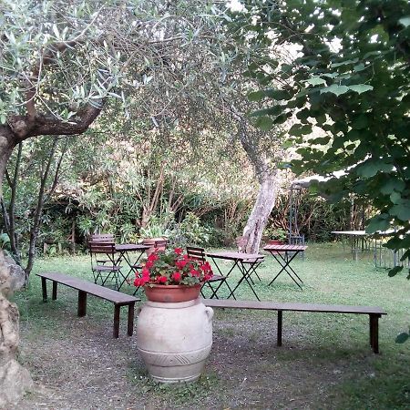 Gli Ulivi Bed&breakfast Bed and Breakfast Fosdinovo Esterno foto