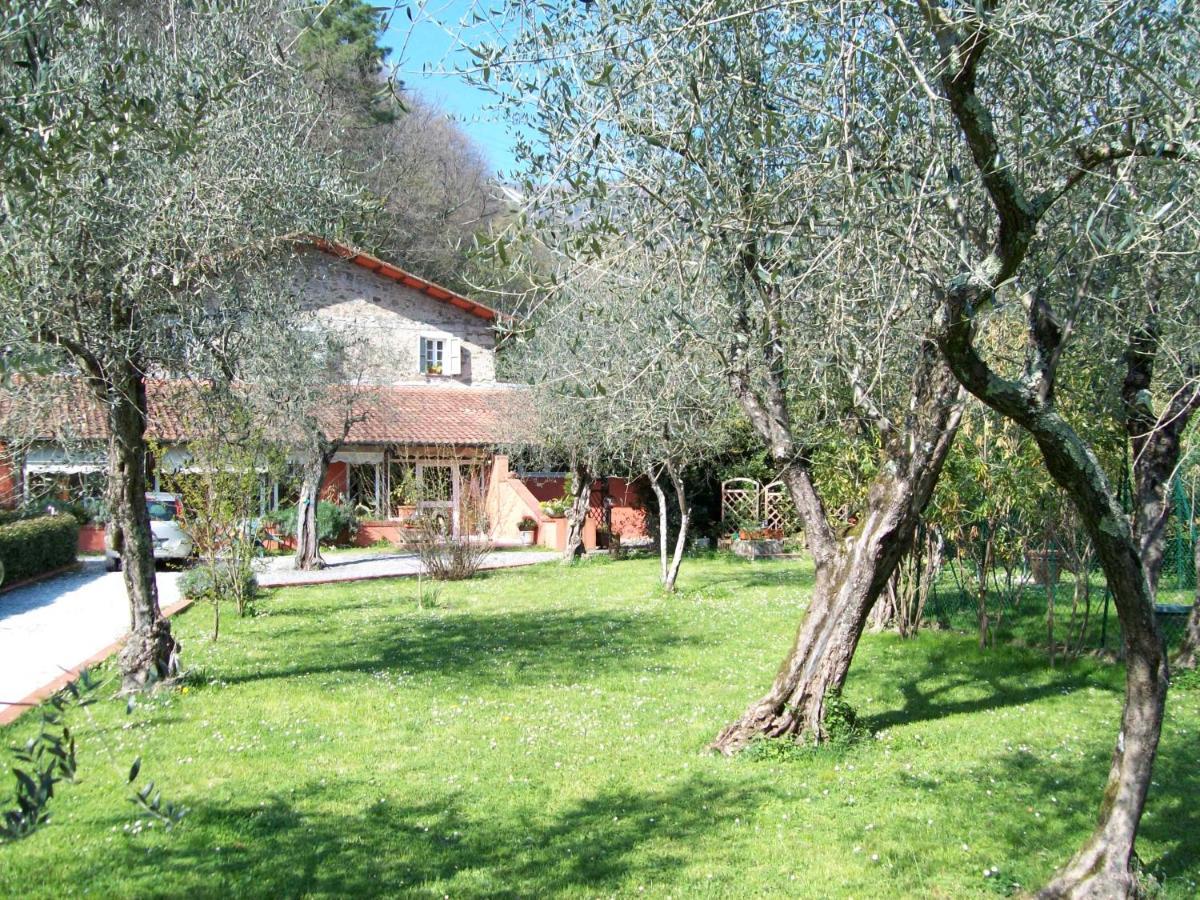 Gli Ulivi Bed&breakfast Bed and Breakfast Fosdinovo Esterno foto