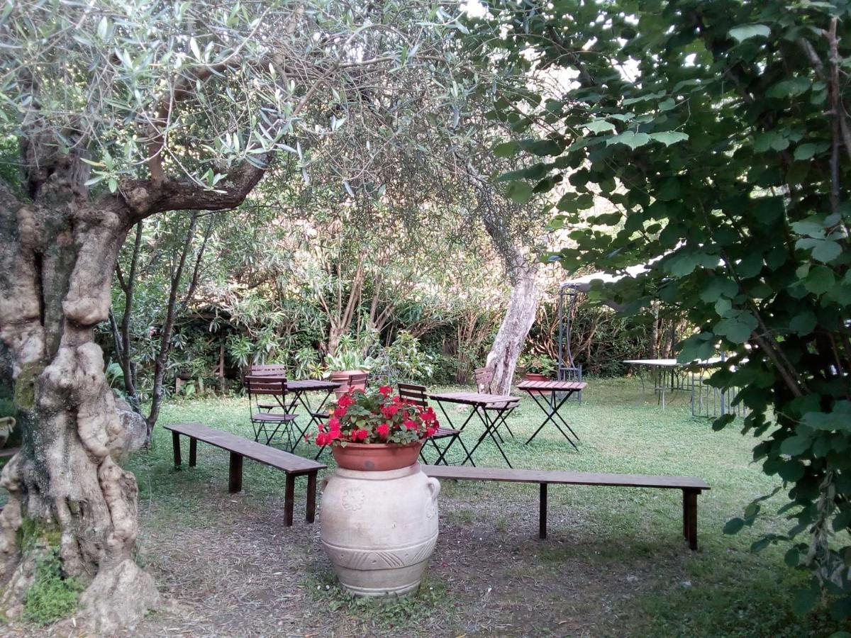 Gli Ulivi Bed&breakfast Bed and Breakfast Fosdinovo Esterno foto